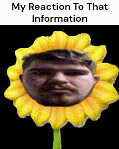 a sunflower with a man 's face on it and the words " my reaction to that information " below it