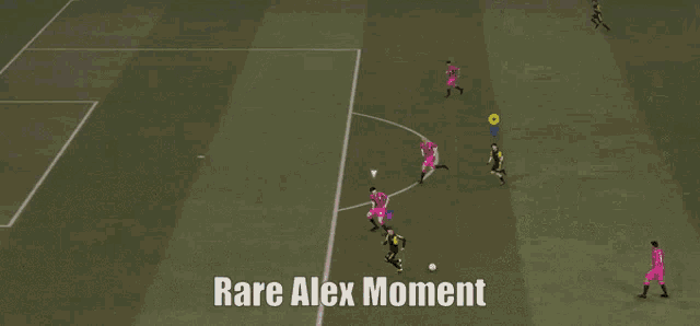 Alex Moment Rare Alex Moment GIF - Alex Moment Alex Rare Alex Moment GIFs