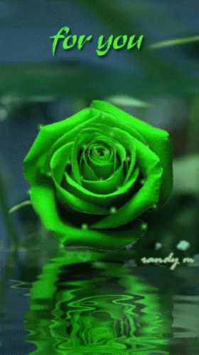 Green Rose For You GIF - Green Rose For You GIFs
