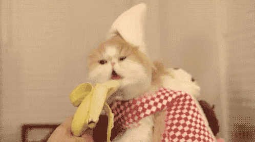 a cat wearing a hat is eating a banana .