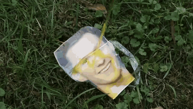 a picture of a man is laying in the grass