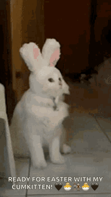 a white cat with bunny ears is ready for easter with its cumkitten