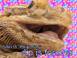 a lizard with its mouth open and the words " pain is temporary dip is forever "