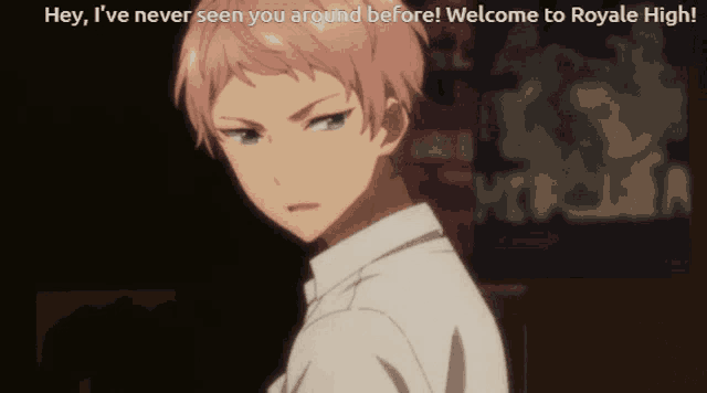 a picture of a boy with the words hey i 've never seen you around before welcome to royale high above him