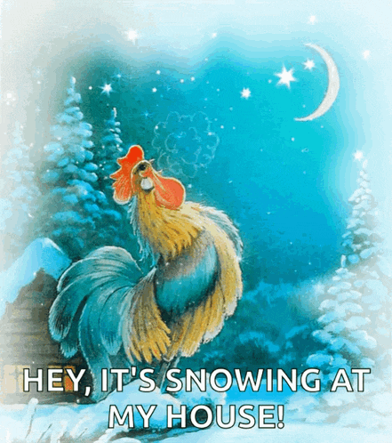 a picture of a rooster with the words hey it 's snowing at my house below it