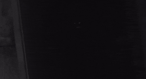 a black cat is standing in a dark room with its eyes glowing .