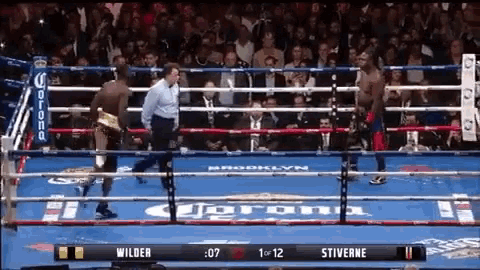 Wilder Boxing GIF - Wilder Boxing Angry GIFs