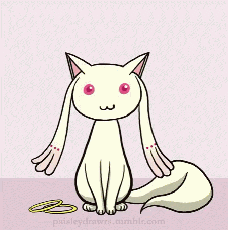 Spin Turn GIF - Spin Turn Cat GIFs