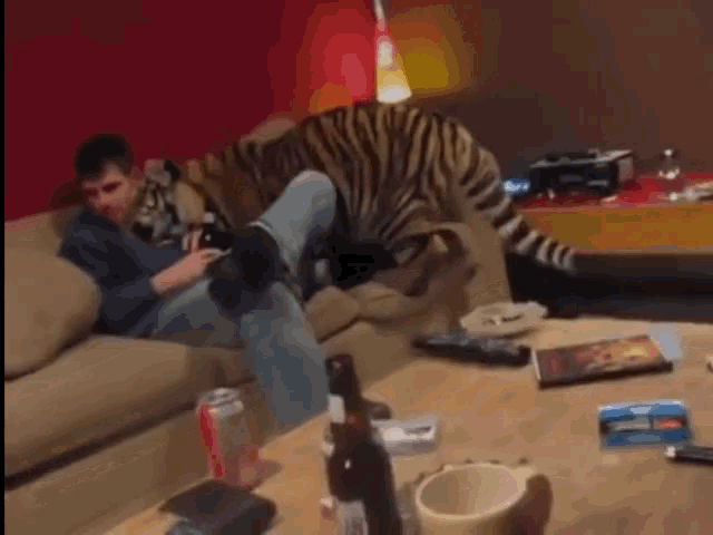 Tiger Hug GIF - Tiger Hug Tigerhug GIFs