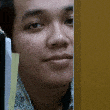 a close up of a man 's face behind a door