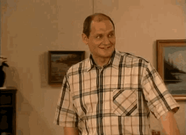 a man in a plaid shirt is standing in front of a painting