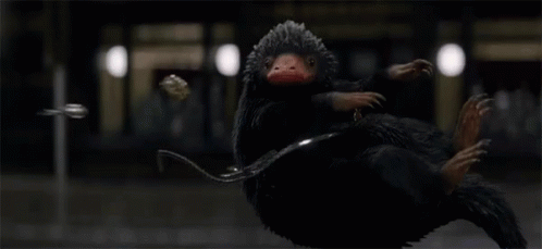 Fantastic Beasts Fantastic Beasts And Where To Find Them GIF - Fantastic Beasts Fantastic Beasts And Where To Find Them Niffler GIFs