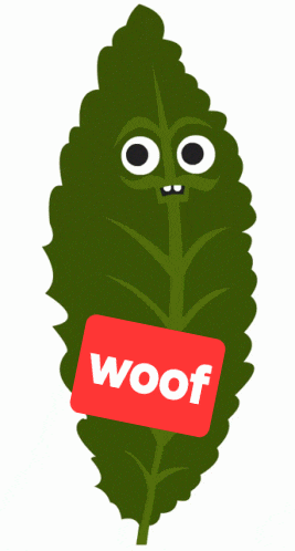 a green leaf with a red sticker that says woof on it