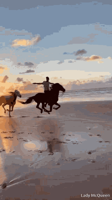 Horse Beach GIF - Horse Beach Ocean GIFs