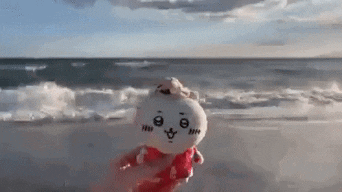 a person is holding a stuffed animal on a beach .