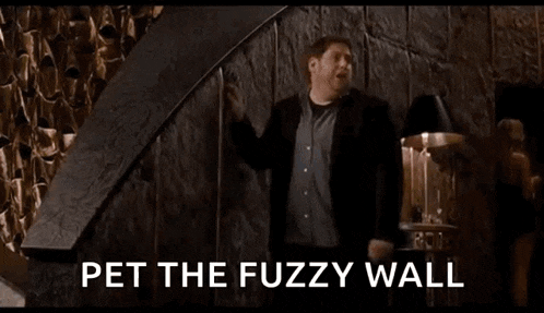 a man is standing in a room with the words `` pet the fuzzy wall '' written above him .
