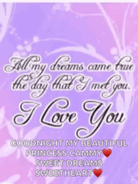 all my dreams came true the day that i met you