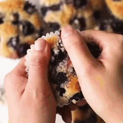 Blueberry Muffins GIF - Blueberry Muffins Muffin GIFs