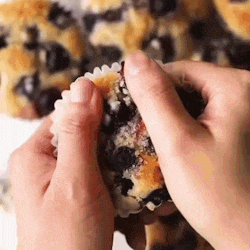 a person is holding a blueberry muffin in their hands and taking a bite out of it .