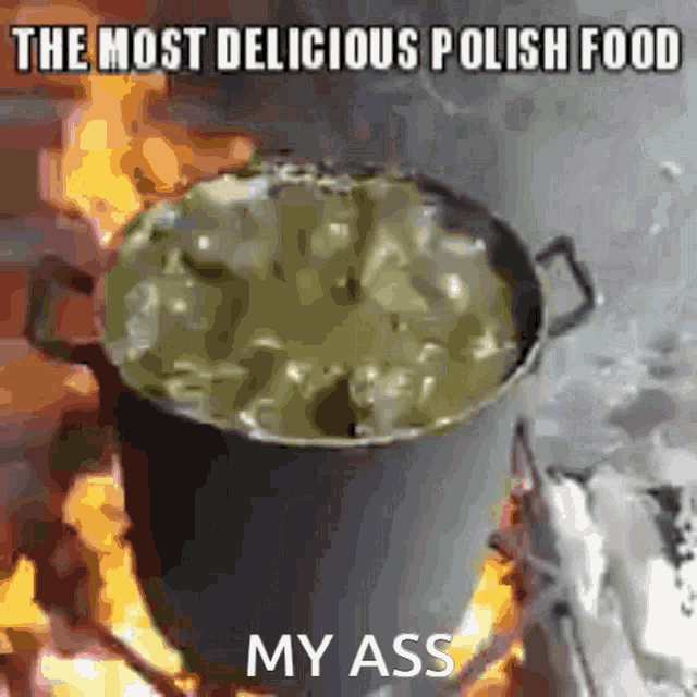 the most delicious polish food my ass is being cooked in a pot on a fire