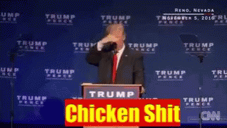 Trump Clapping GIF - Trump Clapping Chicken Shit GIFs