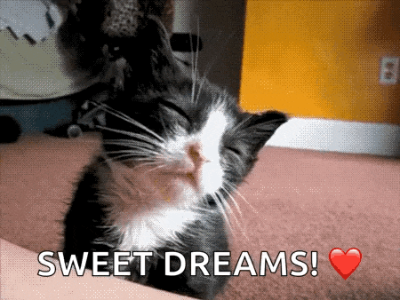 a black and white cat is sleeping on a bed with the words sweet dreams written on the bottom