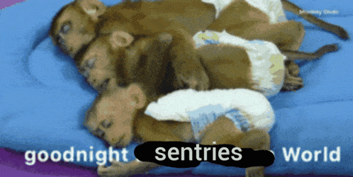 a group of monkeys sleeping on a blue blanket with the words goodnight sentries world written below them