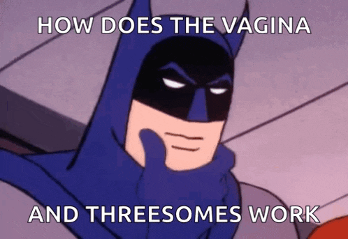 a cartoon of batman with the words how does the vagina and threesomes work