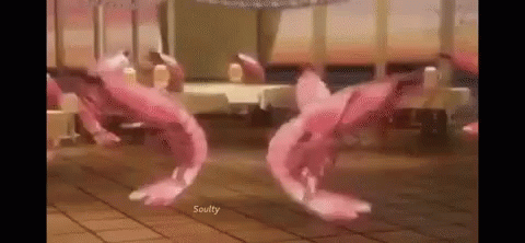 Shrimp Beer GIF - Shrimp Beer Dancing GIFs