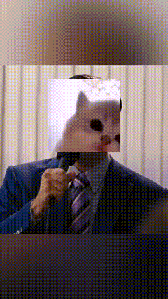 a man in a suit and tie is holding a microphone with a cat behind his face