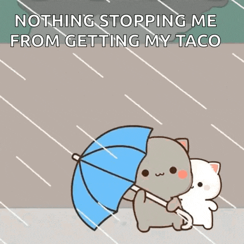 a cartoon of two cats holding an umbrella in the rain with the caption nothing stopping me from getting my taco