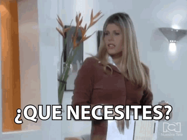 a woman is holding a vase of flowers and says que necesitas