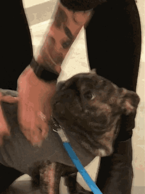 a person with a tattoo on their arm is petting a dog