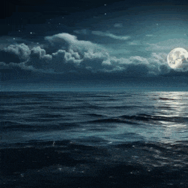 a full moon is visible over the ocean