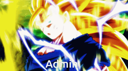 Admin Goku GIF - Admin Goku Ssj3 GIFs