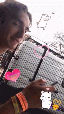Stef Cats GIF - Stef Cats Love GIFs