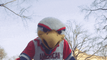 a mascot wearing a red white and blue american shirt
