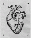 Cora Heart GIF - Cora Heart GIFs