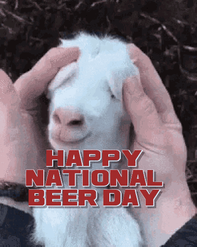 Happy National Beer Day Its Beer Day GIF - Happy National Beer Day Its Beer Day Happy Beer Day GIFs