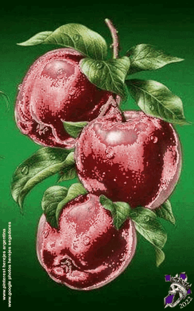 a painting of three red apples with green leaves