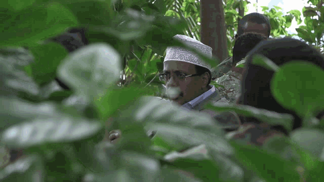 a man wearing glasses and a white hat is standing in a forest