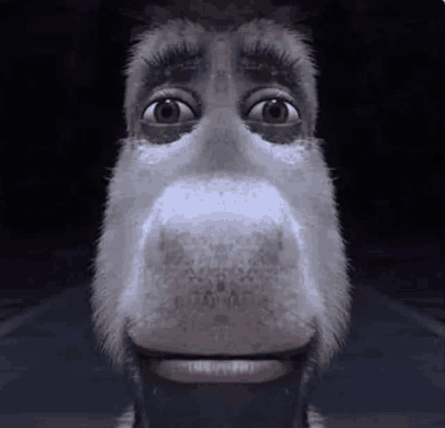 a close up of a cartoon donkey 's face with a beard .