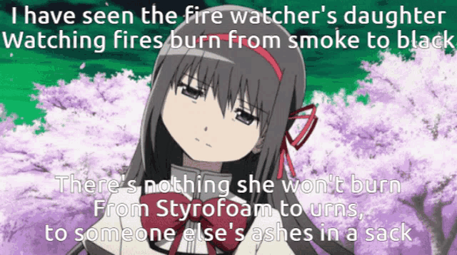 a picture of a girl with the words i have seen the fire watchers daughter watching fires burn from smoke to black