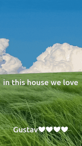a picture of a grassy field with the words in this house we love gustav
