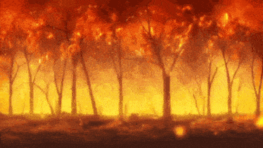 a forest is on fire and the trees are covered in flames