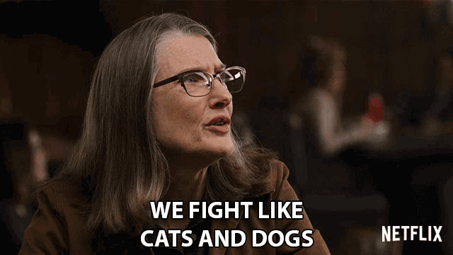 We Fight Like Cats And Dogs Hope Mccrea GIF