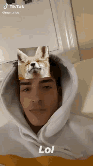 a man wearing a white hoodie has a picture of a fox on his face
