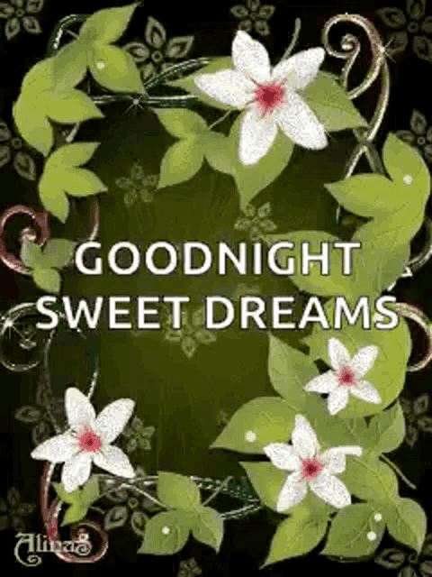 a goodnight sweet dreams greeting card with white flowers and green leaves .
