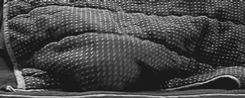 a black and white photo of a cat wrapped in a blanket on a bed .