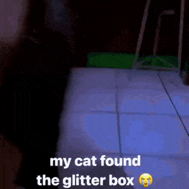 a picture of a cat that says " my cat found the glitter box " on it